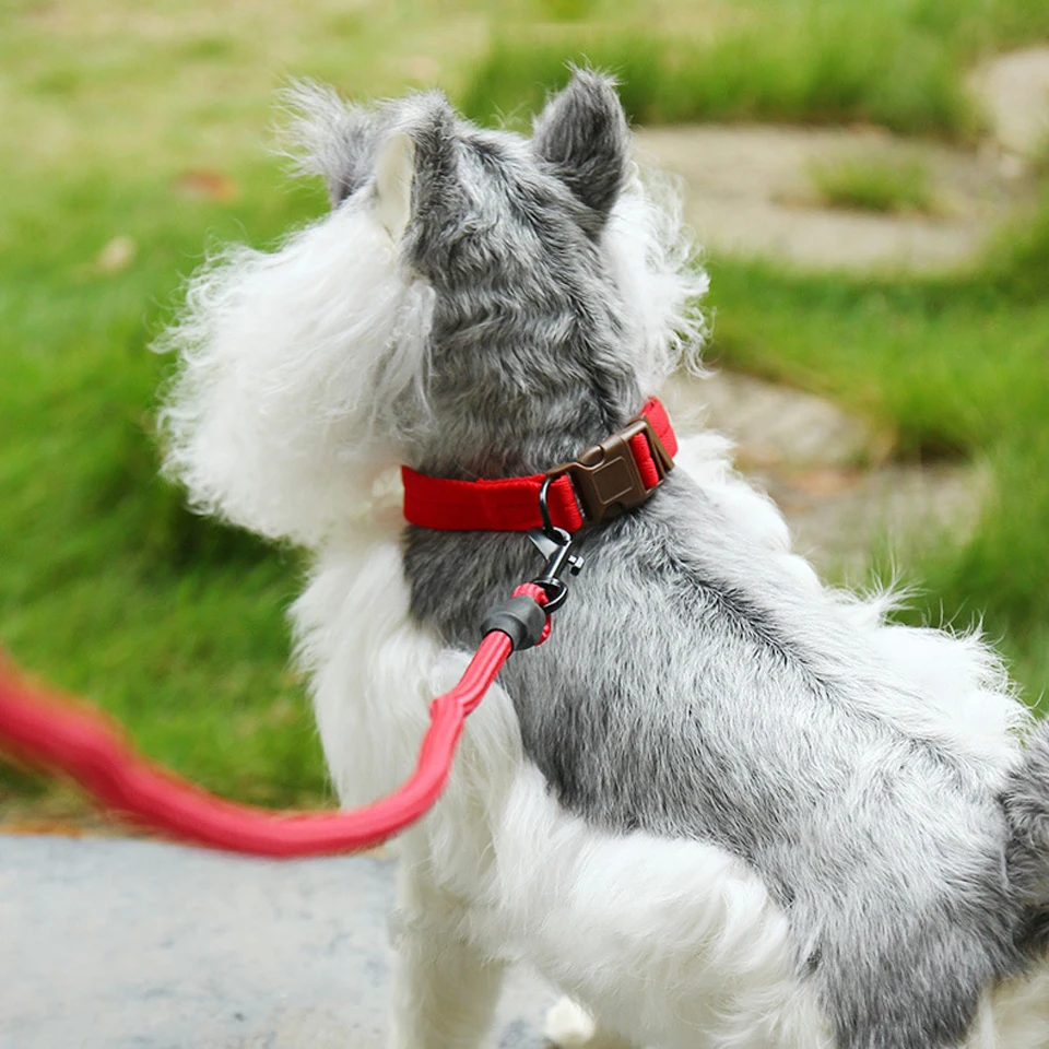 Маленький большой Поводок для собаки набор ремней ошейника нейлоновая