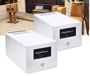 1 пара, отдельный моно усилитель цепи GOLDMUND Telos 300, 400WX2, хороший звук, настоятельно рекомендуется