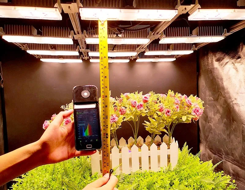 Шэньчжэнь Индивидуальный полный спектр УФ ИК 16 модулей 800 Вт высокая ppfd