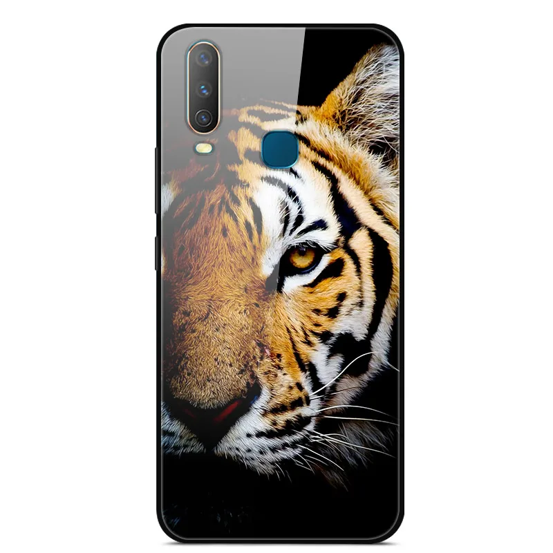 as photo 9 Чехол из закаленного стекла для Vivo Y17, чехол, жесткая задняя крышка для Vivo Y15, чехол для Vivo Y12, чехол из ТПУ, бампер для Vivo Y3, чехол, Funda - Цвет: as photo 9