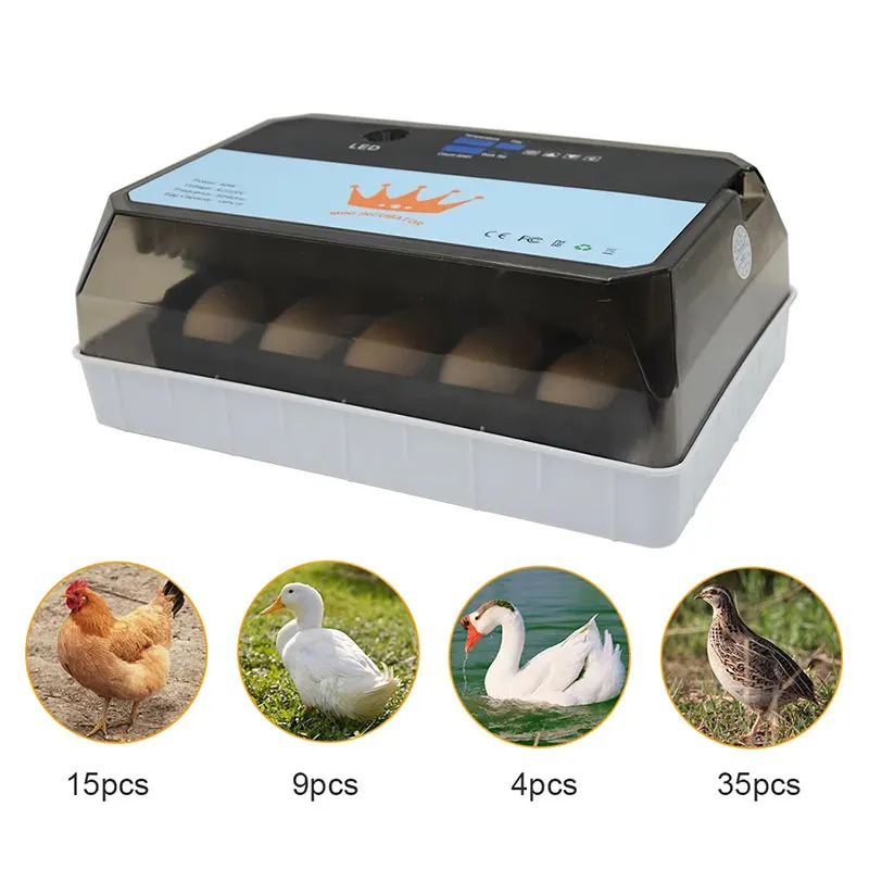 

Automatic Incubator 15 Egg Mini Brooder Machine Digital Household Chicken Incubator Incubation Equipment 110V/220V