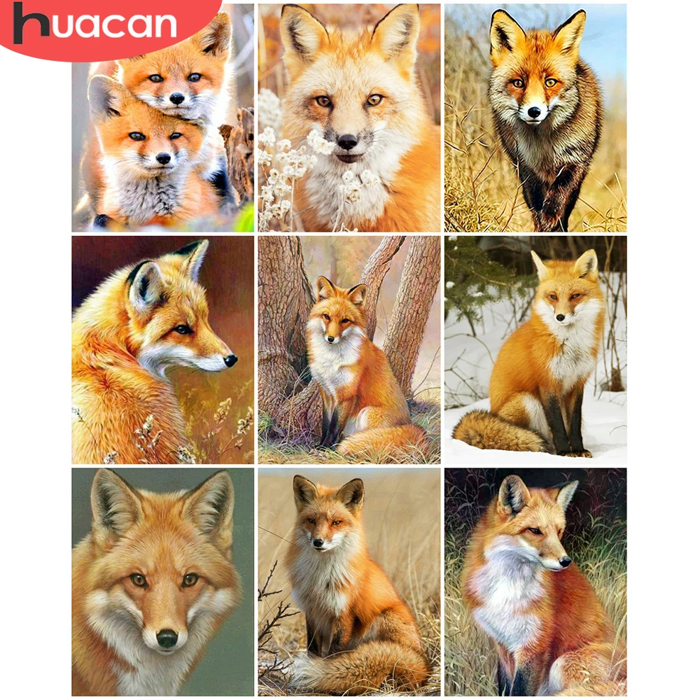 

HUACAN Painting By Number Fox Animals Kits For Adults Handpainted DIY Coloring By Number Home Decoration Gift 60x75cm