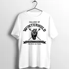Мужская футболка College of Winterhold Skyrim, художественная Футболка с принтом