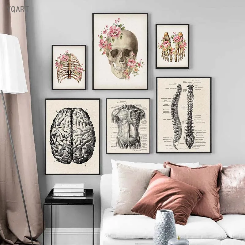 

Skeleton Anatomy Posters and Print Skull Spine Medical Wall Art Canvas Paintings Print Abstract Picture Clinic Home Decoration
