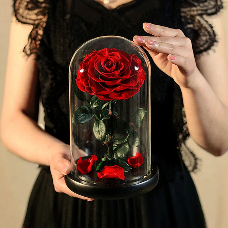 AINYROSE Красавица и чудовище сохраненные цветы красный вечный цветок розы в