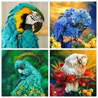 HUACAN полноразмернаякруглая алмазная живопись, попугай, мозаика сделай сам, птица, рукоделие, 5D алмазная вышивка, животное, вышивка на стену