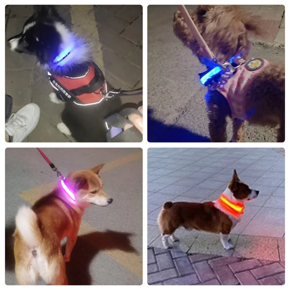 Светящийся ошейник светящийся собачий светодиодный водонепроницаемый