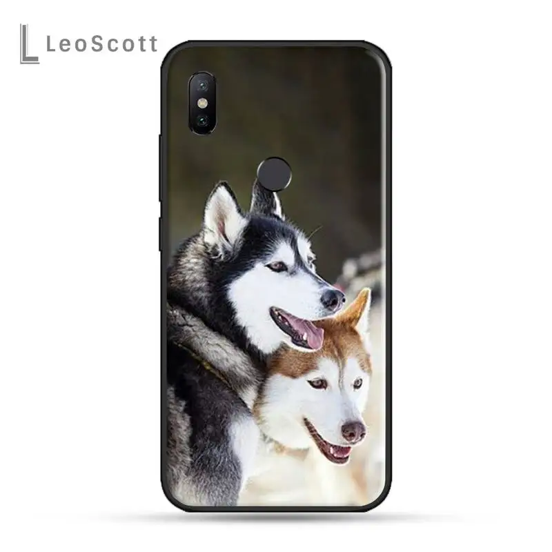 

Husky dog Colorful Cute Phone Case For xiaomi Redmi 5 5A plus 7A 8 note 2 3 4 5 5A 6 7 GO K20 A2