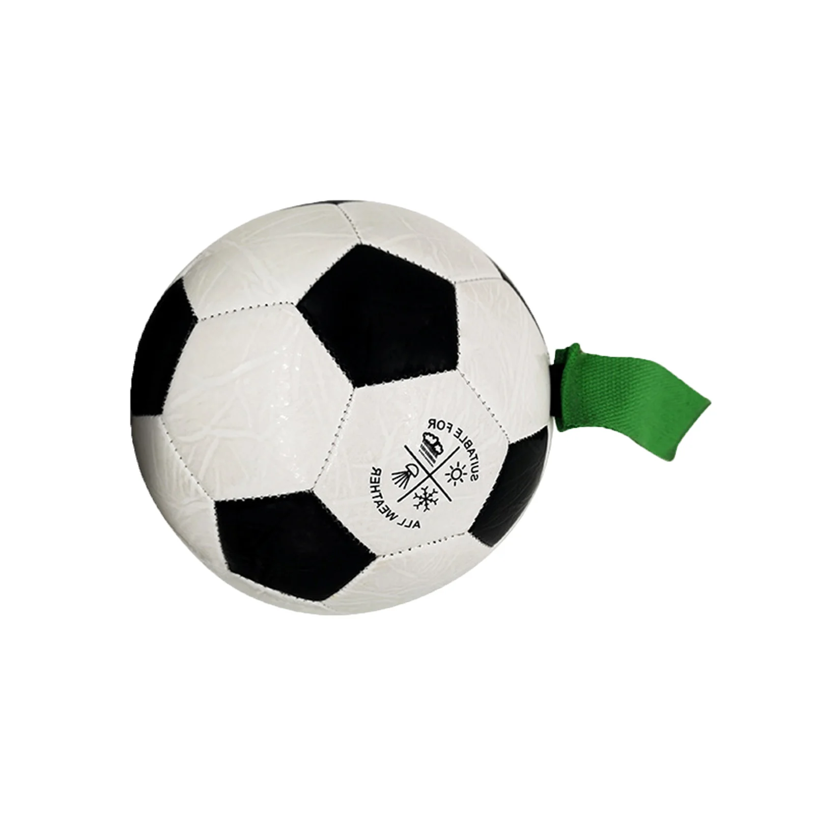 

Интерактивный тренировочный мяч для домашних питомцев, 2021