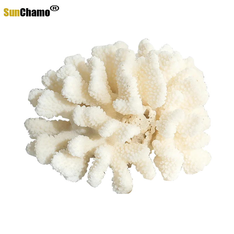 Белые коралловые раковины цветы аквариумные украшения окно фигурки морской