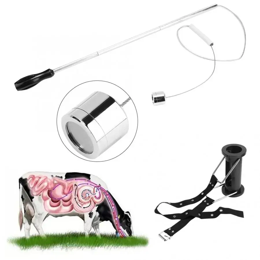 Желудок Железный Такер скот ветеринарный коровий магнит поглотитель желудок