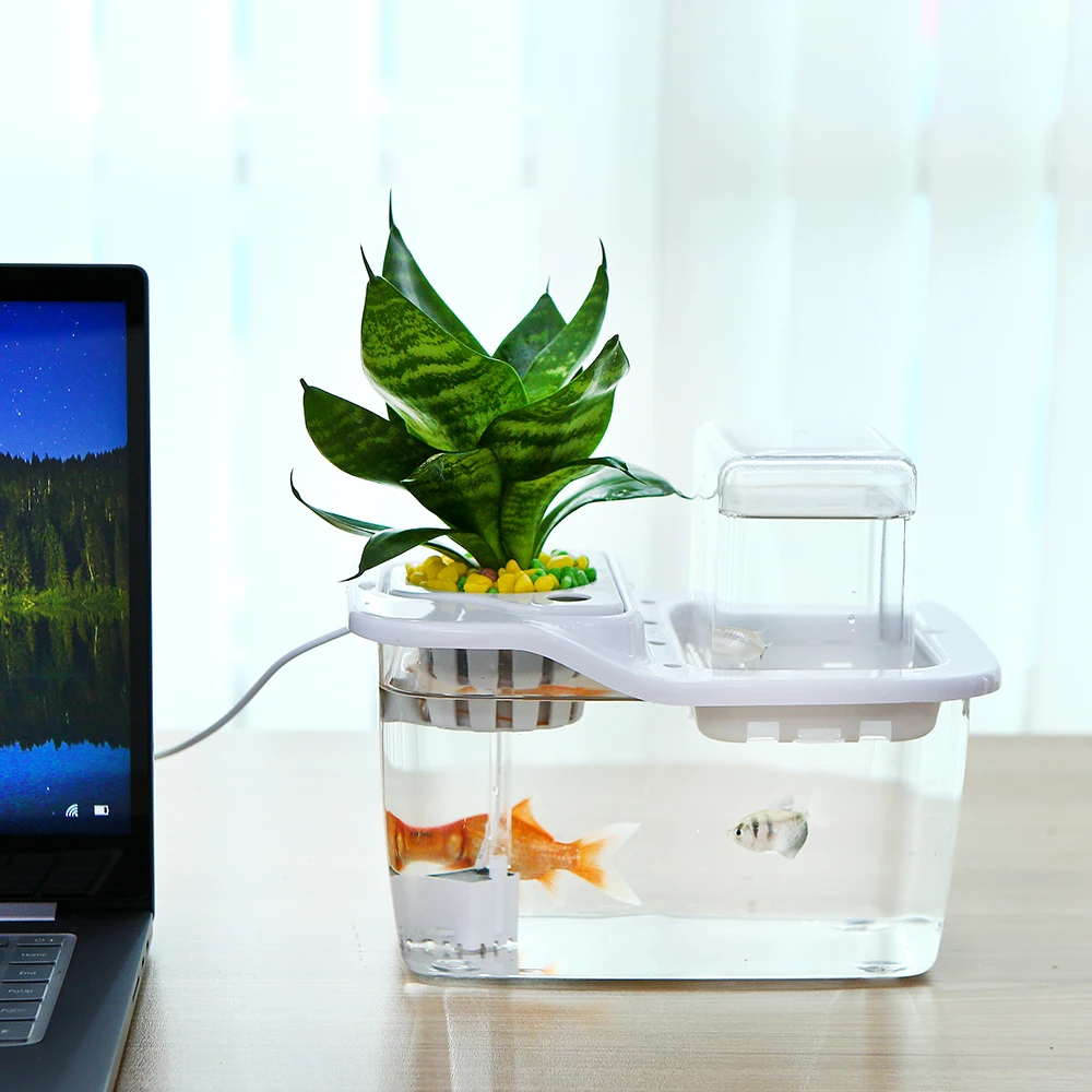 Мини экосистемный гидропоника аквариумный прозрачный набор для аквариума