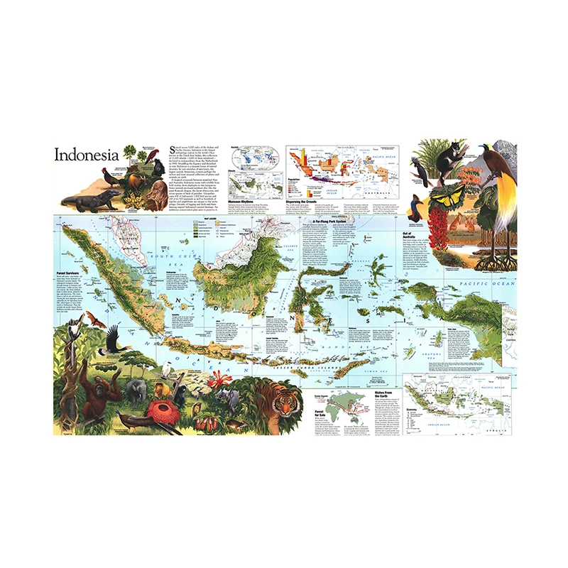 

150x225 см индонезийская карта Peta pendikan Sekolah Siswa Peta Dekorasi Kantor карта мира Настенный декор плакаты и принты настенная бумага