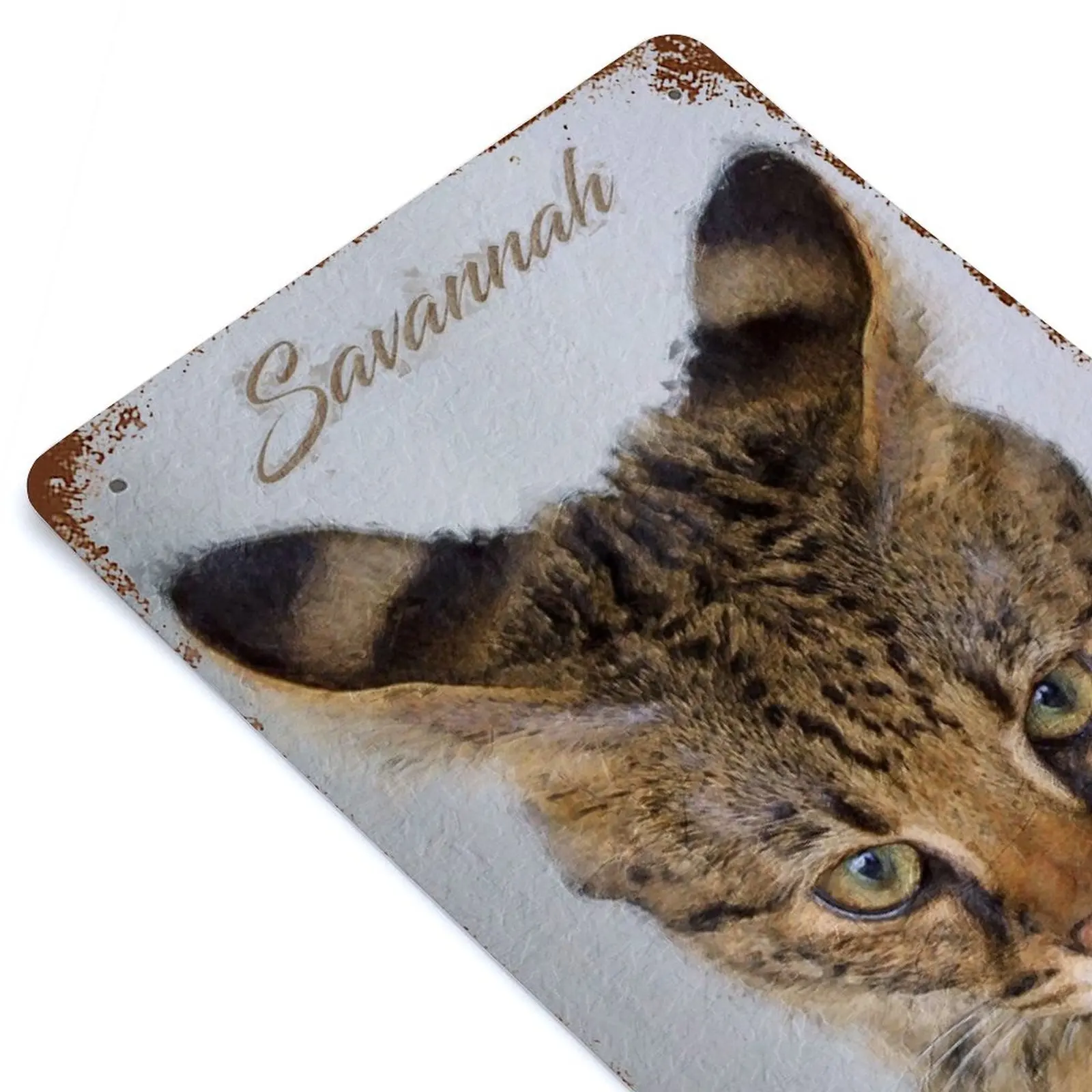 

Savannah Cat Printed Retro Metal Poster Home Wall Decoration Tin Sign Plaque