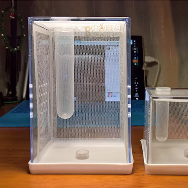 

Observation Insect Collection Box Children Display Praying Mantis Insect Box Formicarium Maison Insecte Insect Terrarium Ed50id