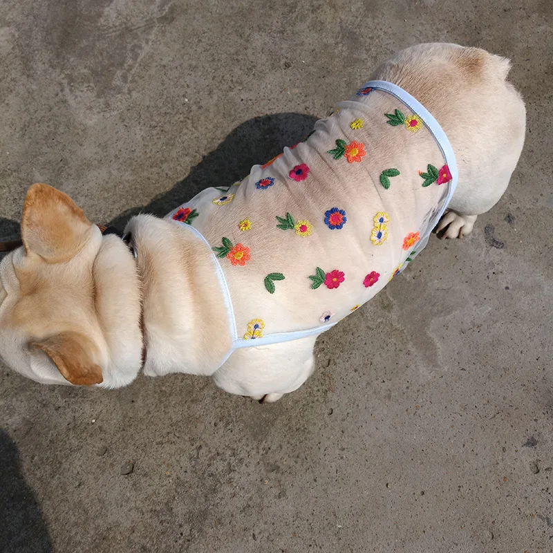 _ Одежда для кошек корейский короткий жилет и собак Тедди шнауцер одежда щенков