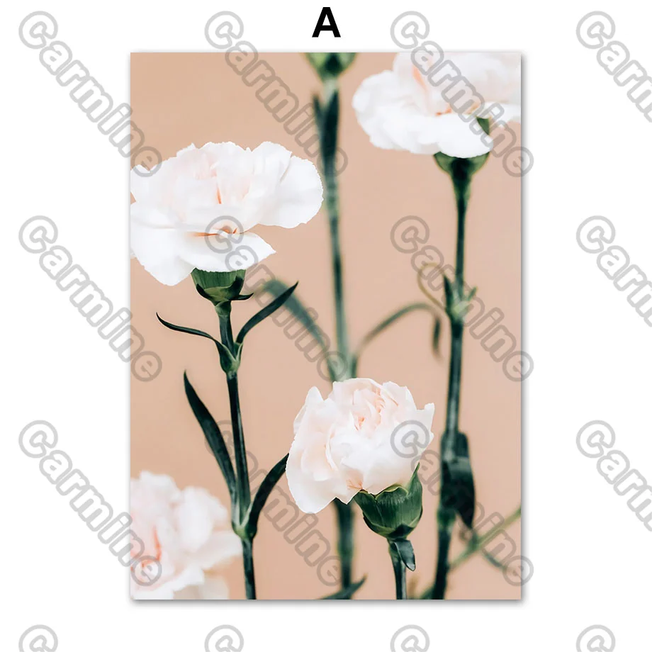 

Poster Plant Flowers Cotton Reeds Canvas Painting Wall Art Nature Home Decoration for Living Room and Bedroom Frameless
