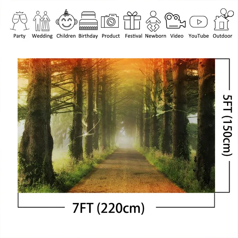 Фон для фотосъемки Neoback пейзаж Весенний лес дорога фоны портретный фон