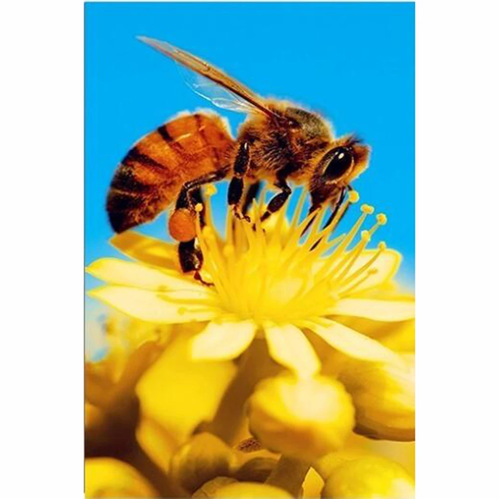 DIY Алмазная вышивка цветок пчела полная квадратная мозаика крестиком картина