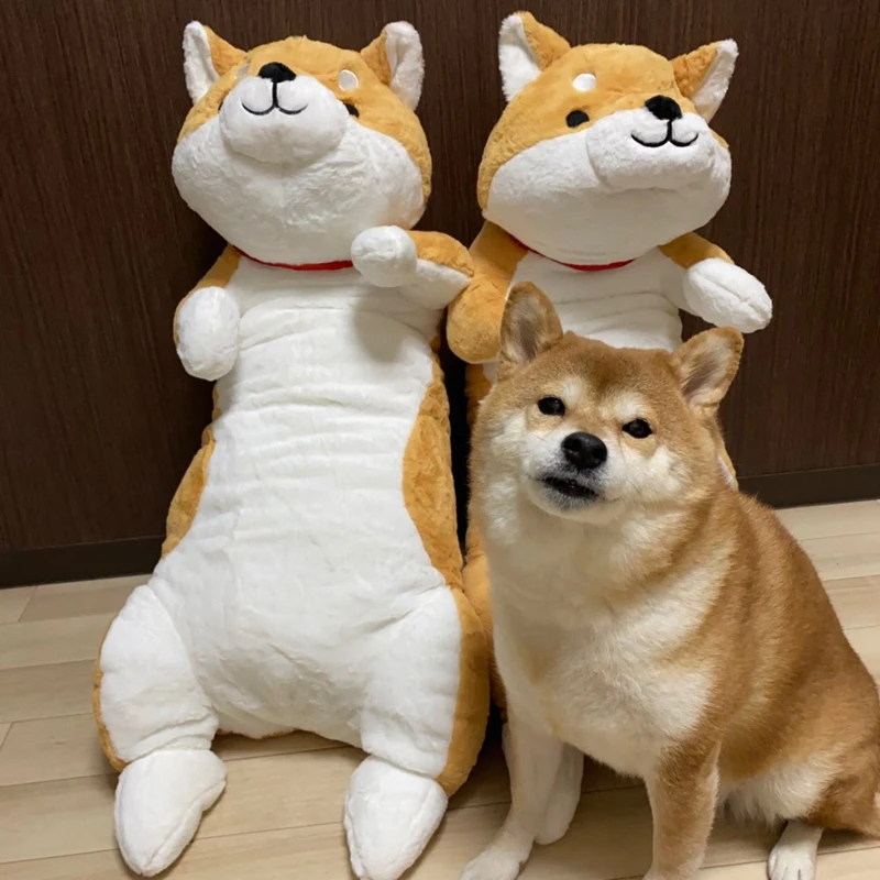 Kawaii животные Шиба ину плюшевые игрушки Большая мягкая милая собака хаски плюшевая подушка мультяшная кукла животных для детей Детский подарок 39 дюймов 100 см