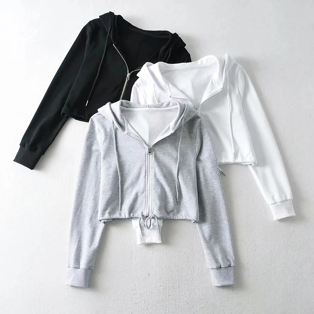 

2020 New Autumn Winter Women Female Casual Polyester sweaterShirt solid Brand short Blouse Outwear
