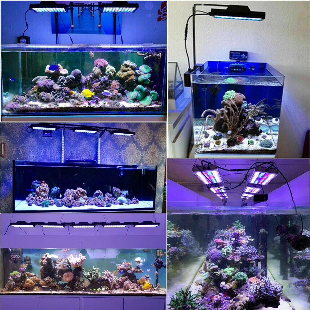PopBloom морской Светодиодный Свет Коралл SPS LPS аквариум морская рыба риф свет для 120