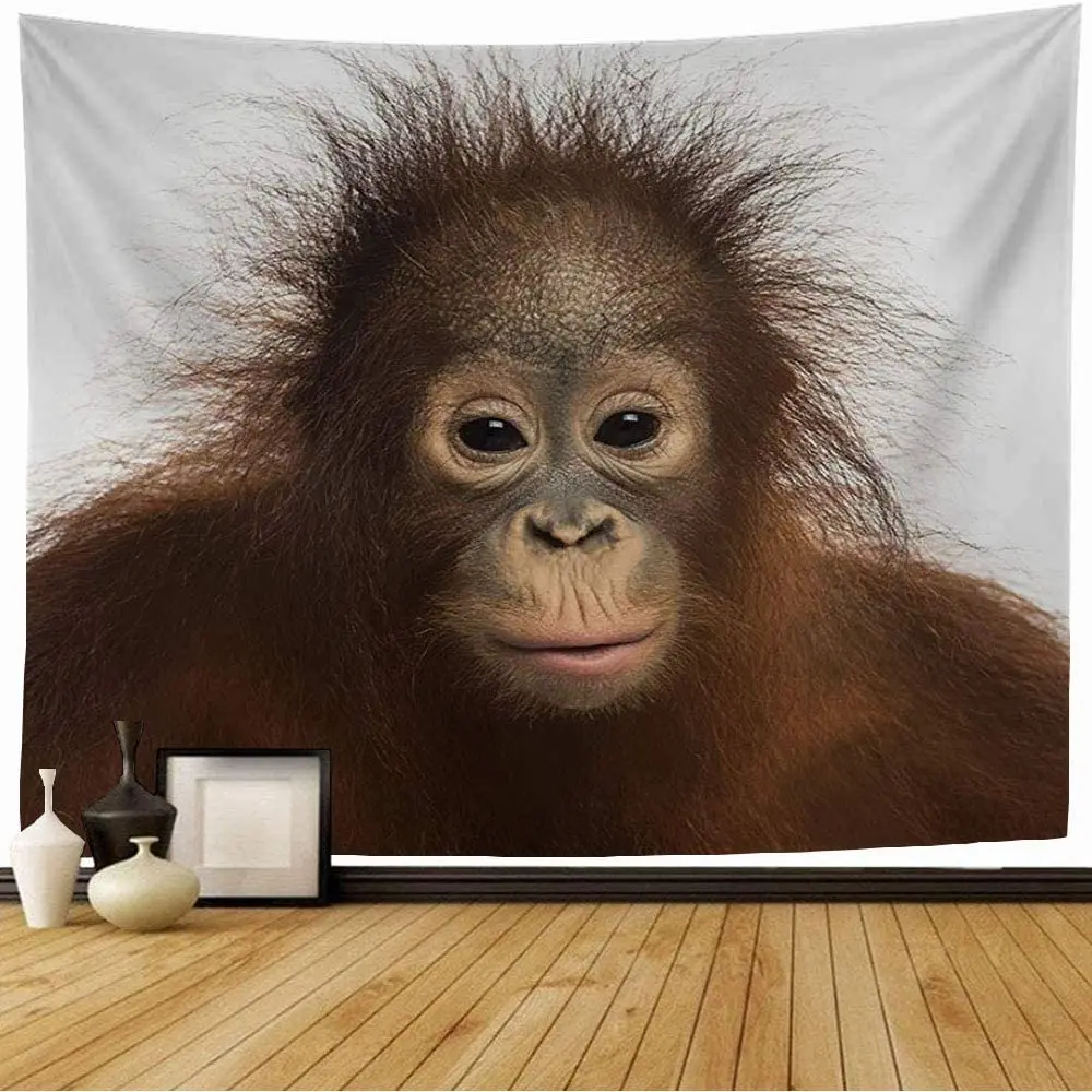 

Monkey Tapestry Young Bornean Orangutan Animals Asian Wildlife Ape Big Tapestries Bedroom Living Room Wall Hanging Decor Blanket