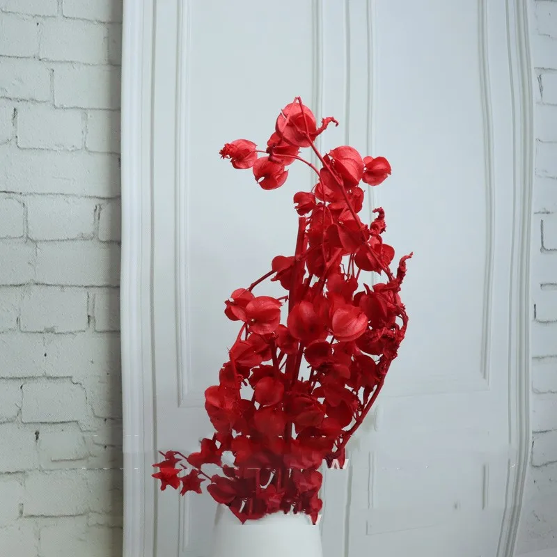 

Real Natural Plant Preserved Wind Chime Fruit Dried Flower Immortal Bouquet For Home Christmas Decoration Wedding Floral Supplie
