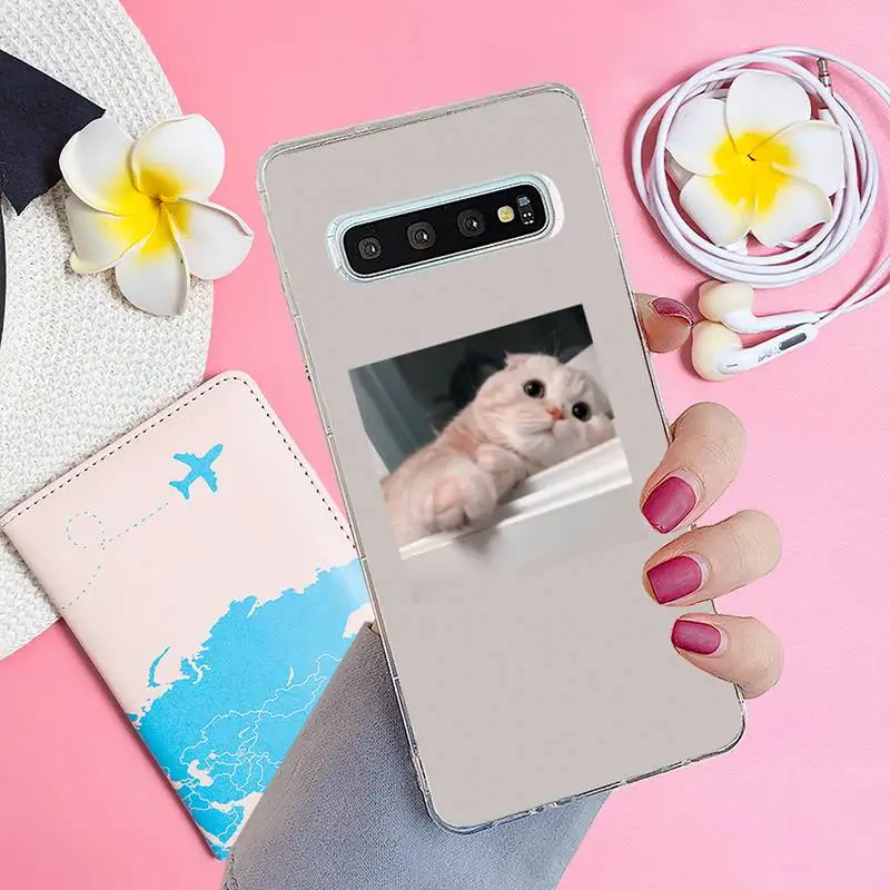 

Pink Aesthetic cute cat Phone Case Transparent for Samsung A71 S9 10 20 HUAWEI p30 40 honor 10i 8x xiaomi note 8 Pro 10t 11