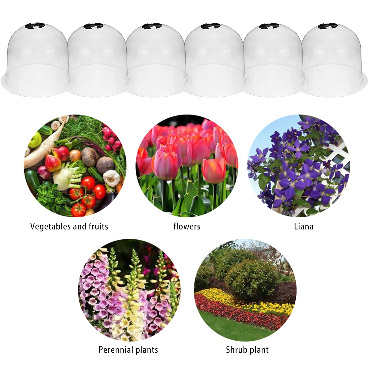 

6Pcs Reusable Plant Bell Cover Dome Anti-Freeze Transparent Plastic Protector Cover Mini Greenhouse Outdoor Garden Plant Freeze