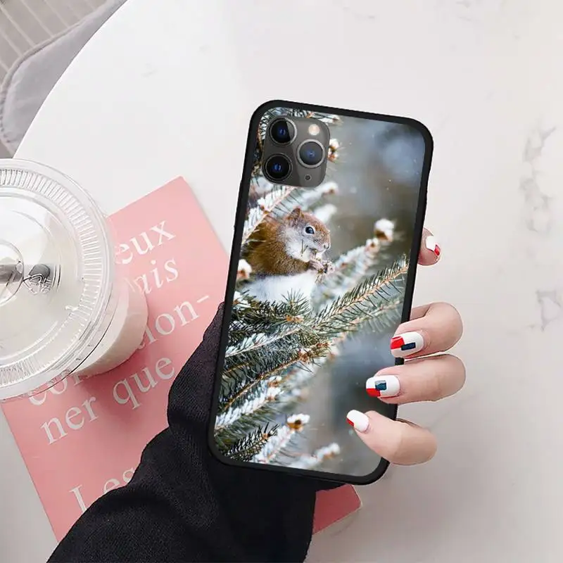 

squirrel in the snow Phone Case for iPhone 11 12 mini pro XS MAX 8 7 6 6S Plus X 5S SE 2020 XR