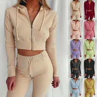 women knitted sports sweatsuit autumn hoodie long sleeve suit slim pencil pants ribbed 2 piece sets velvet outfit tracksuit
