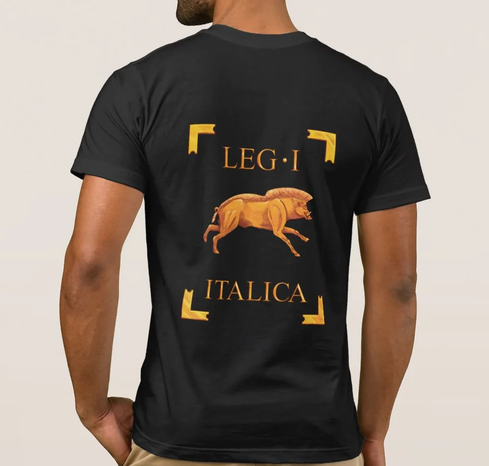 В 1st легион Italica дикий кабан отображается на спине в качестве легионера Vexillum Для