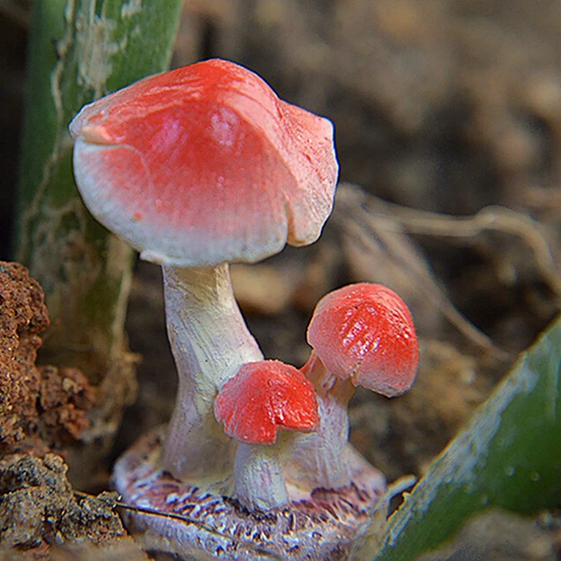 3 шт. миниатюрная Фея садовый гриб украшение кукольный дом горшок для растений