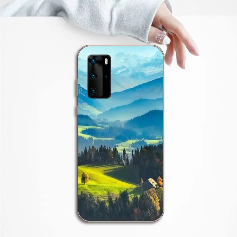 

Phone Case For Huawei P honor 8 10i 20 30 40 smart 2019 animal marble painting aircraft retro bear fruit flower