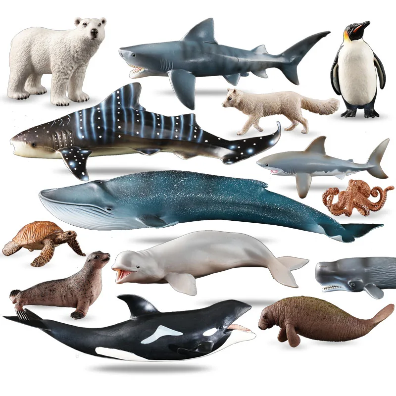 

Simulation Animal Model Marine Life Organism Dolphins Turtles Whales Sharks Figure Collectible Kids Early Education Toy Gift