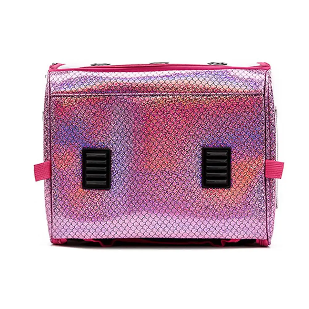 Переносная сумка для кошек сумка-переноска домашних животных прозрачная дышащая