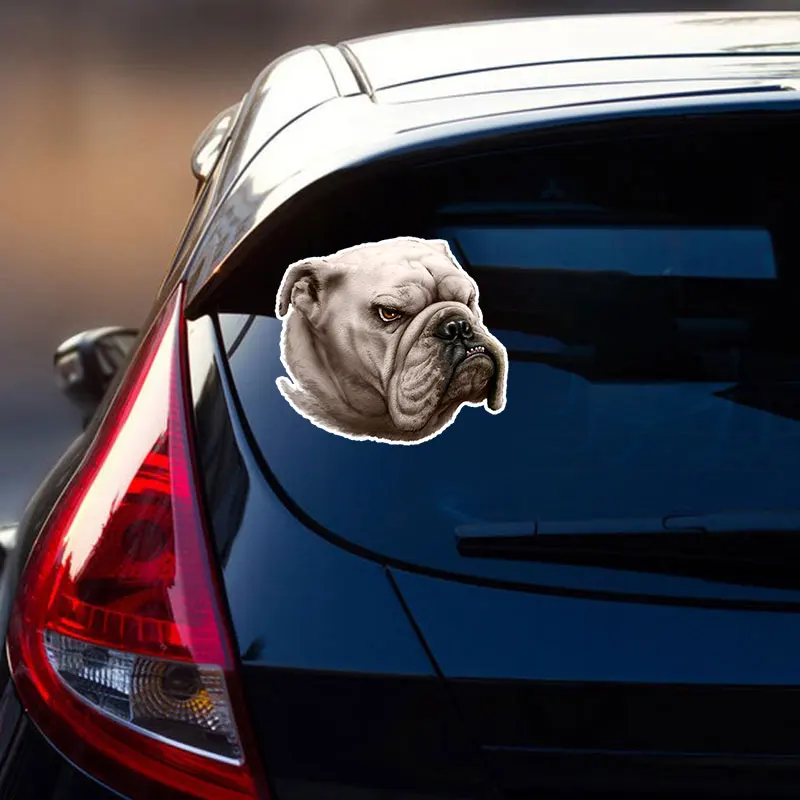 PVC-0138# Печатный самоклеющийся наклейки на авто Бульдог водонепроницаемые машину