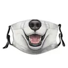 Черно-белая маска для лица с рисунком хаски, карманная регулируемая фотомаска для защиты от пыли с 2 фильтрами