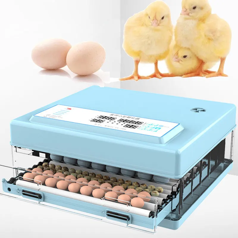 

Автоматический инкубатор для яиц, полностью инкубатор для 72 яиц, автоматический поворот для утки, голубей, перепелов, попугаев, 220 В