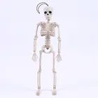 40 см Хэллоуин активный человеческий скелет модель человеческие кости дом с привидениями ужас реквизит висячий орнамент домашний бар вечерние принадлежности