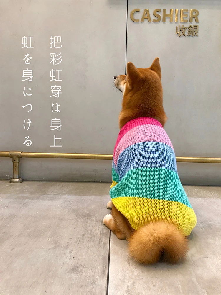 Свитер пальто мягкая одежда жилет для маленьких средних зимних теплых свитеров