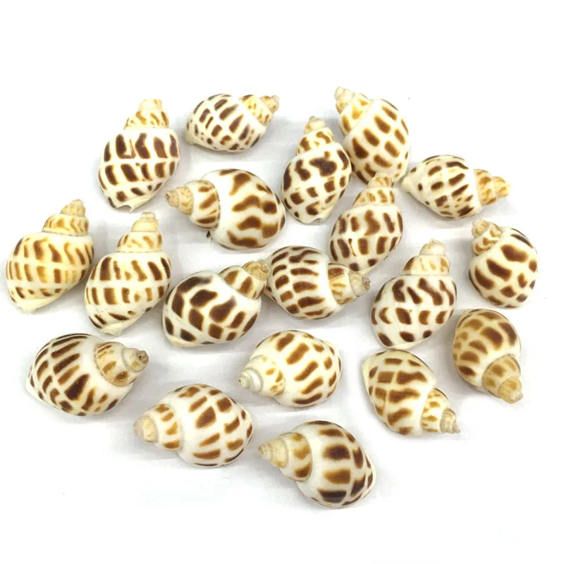 Модные подвески в виде ракушек из натуральной ракушки, изысканные Подвески для изготовления ювелирных изделий, браслетов, ожерелий, сережек «сделай сам», аксессуары, Размер 15x32 мм