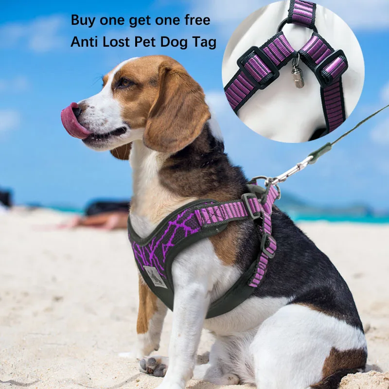 Нейлоновая шлейка MySudui для чихуахуа модный жилет маленьких и средних собак