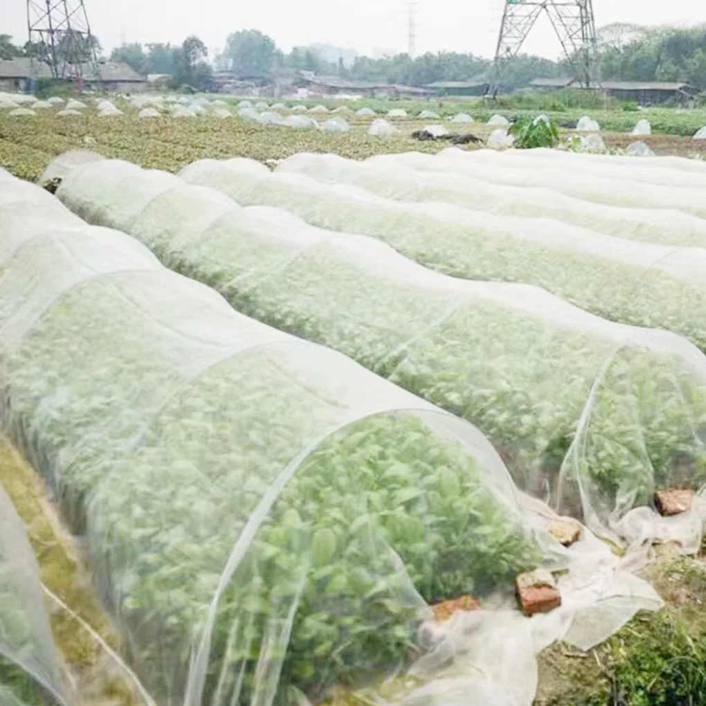 

Vegetables Plant Protection Net Polyethylene Plant Crop Mesh Net Anti Insects Netting
