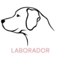 LABRADOR Собака портрет Персонализированные Имя ожерелье Собака ювелирные изделия любимое животное подарок для мамы собаки породы ожерелье PN305 - Окраска металла: LABRADOR