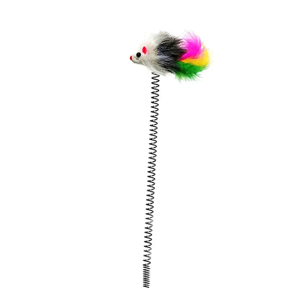 

HOT SALES!!! Pet Cat Kitten Amusement Disk Feather Turntable Spring Replacement Play Toy