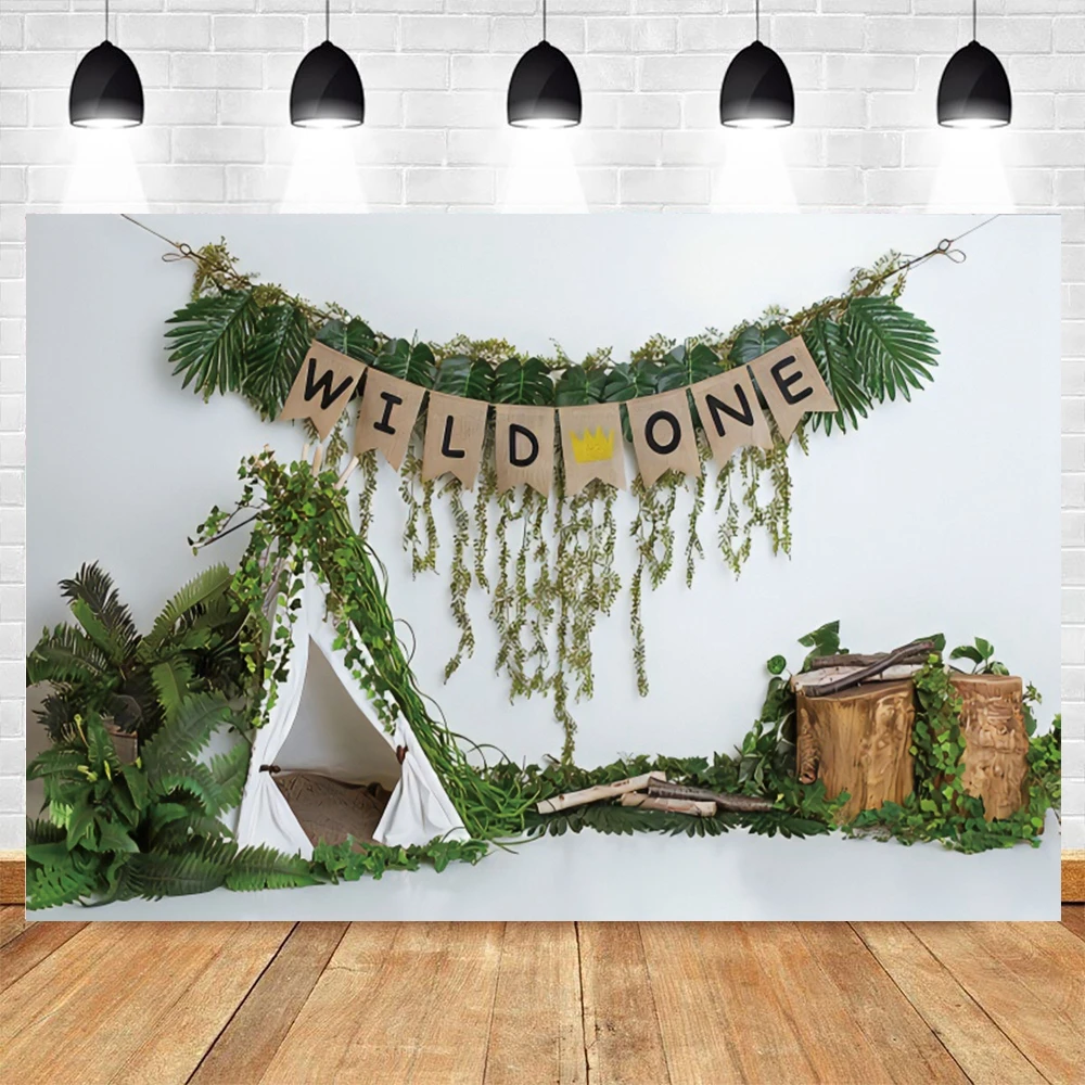 

Newborn Baby 1st Birthday Wild One Tent Cake Smash Background Photography Backdrops Photographic Photo Shoot Booth Photophone