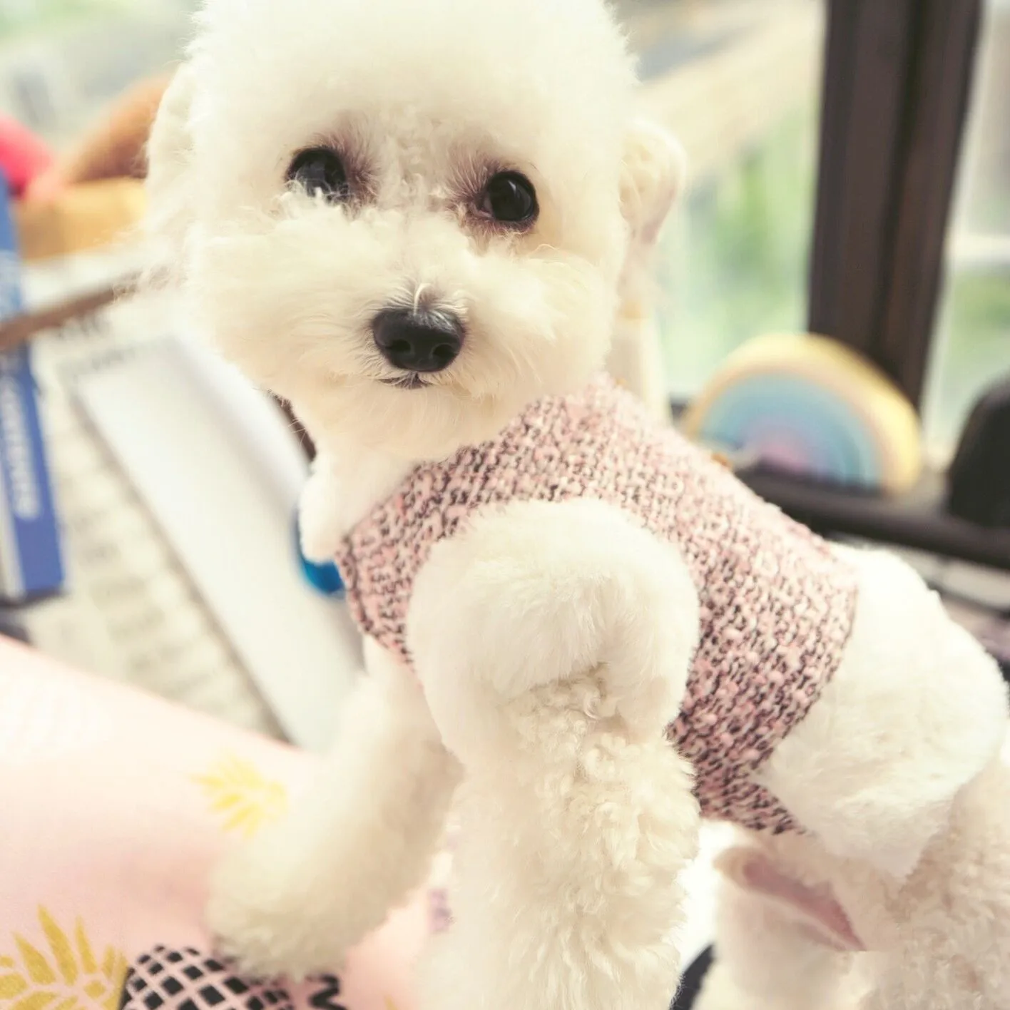 Зимнее пальто для домашних животных куртка теплая одежда собак кошек и щенков