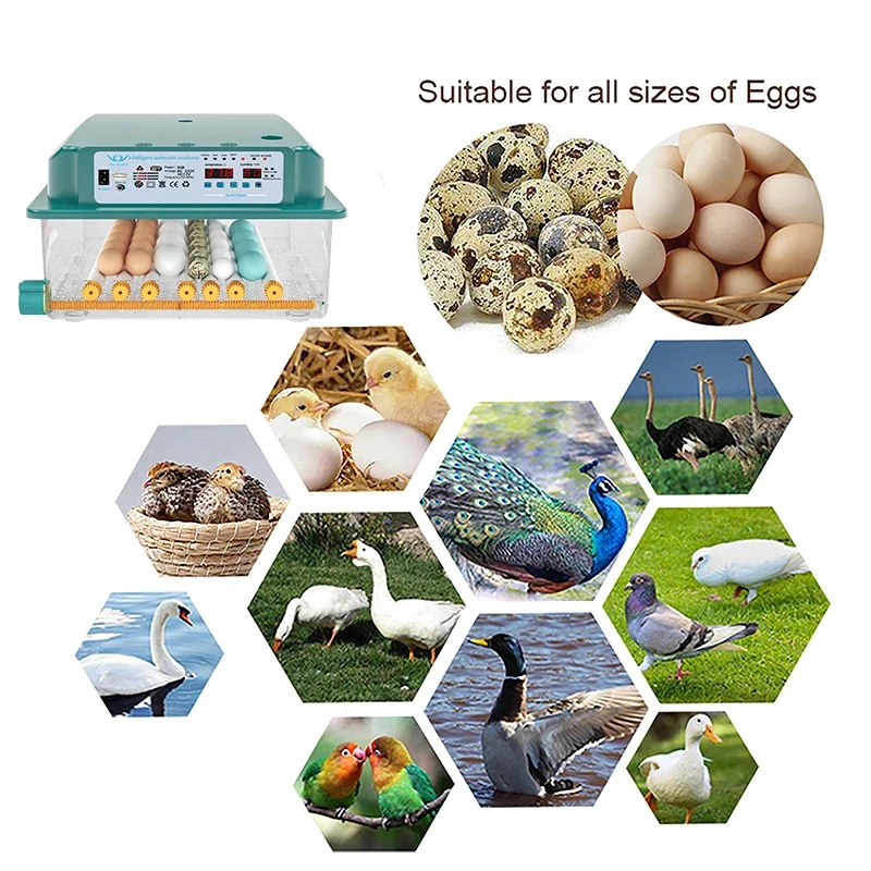 

36 Eggs Household Incubator Chicken Eggs Brooder Fully Automatic Farm Bird Quail Incubator Hatchery Incubator Poultry Hatcher